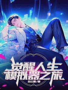 觉醒人生模拟器