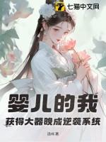 婴儿的我获得大器晚成逆袭系统境界