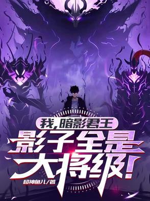主角叫暗影的