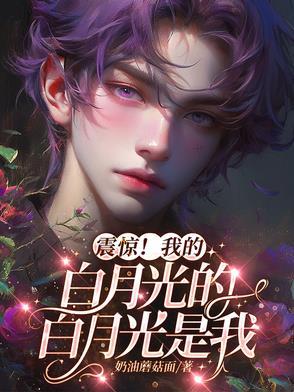 我的白月光是什么