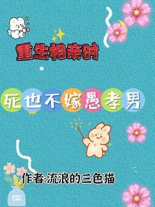 重生到相亲前的军婚悔过文