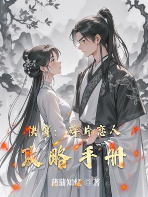 碎片指的是