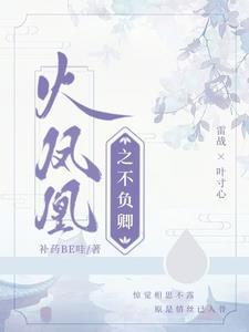 火凤凰之寸心