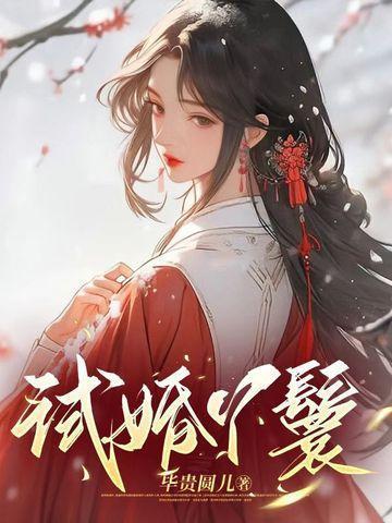 试婚丫鬟男主是谁