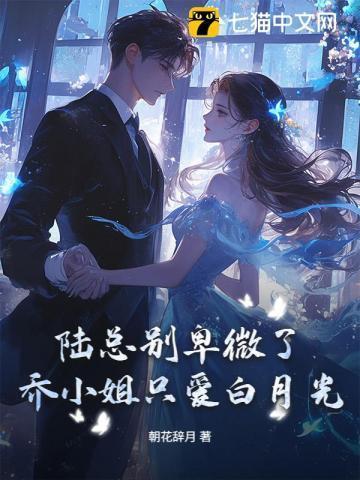 乔乔陆总