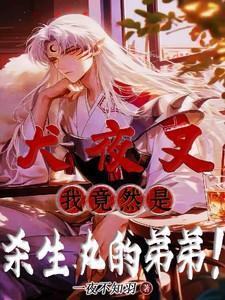 杀生丸是犬夜叉的谁