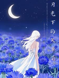 月光下的小汽车