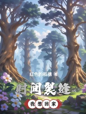 时间裂缝解析