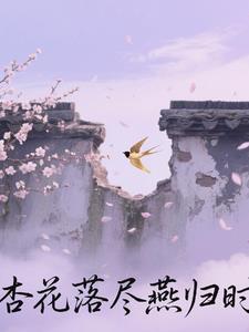 杏花落满头