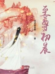 至尊叶辰萧初然免费阅读