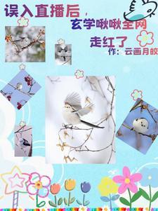 小金乌作者