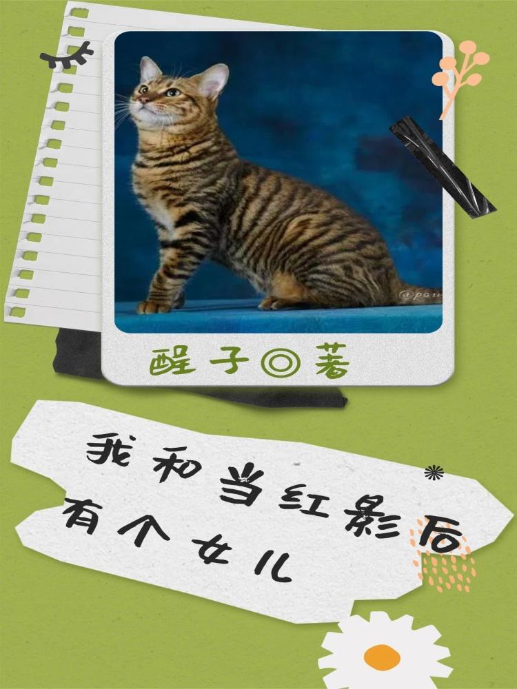 我和当红影后有个女儿免费观看