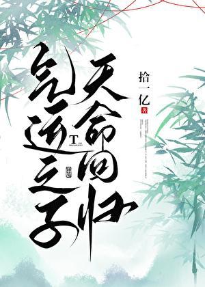 气运之子天命回归格格党