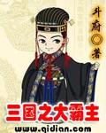 三国之霸王的大陆