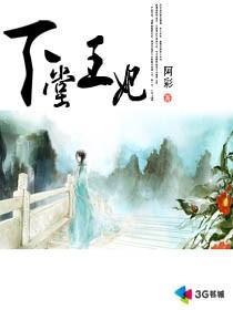 下堂王妃沈若悠全文阅读