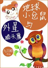 地球小仓鼠与外星猫头鹰的区别