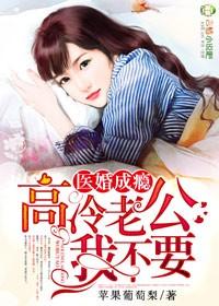 医婚成瘾高冷老公太深情