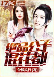 听极品公子