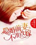 前妻不好追免费阅读