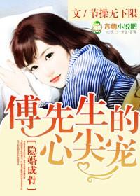 傅先生的隐婚免费阅读全文