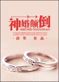 神婚颠倒 讲的什么