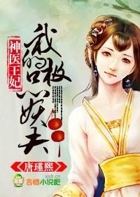 神医王妃全文