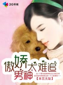 傲娇男神太高冷