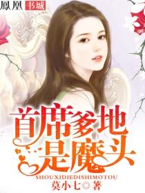首席爹地超厉害大结局