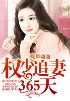 权少追妻攻略的全本