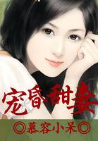 宠妻高甜