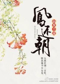 凤还朝叶宋为啥不选苏若清