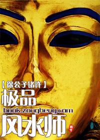 极品风水师罗定
