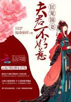 夫君们不好惹絮絮