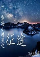 宠物小精灵之凡途顶点