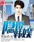 隐婚类娱乐圈