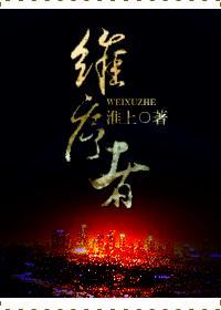 维序者 淮上