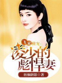 飞来横祸by零