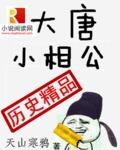 大唐小相公有声张子文