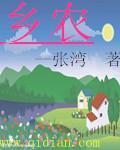 乡农民集体所有的土地