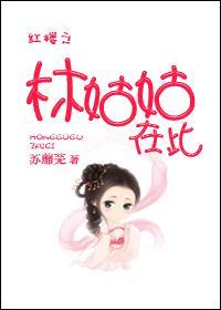 红楼之林家姑姑宝书网