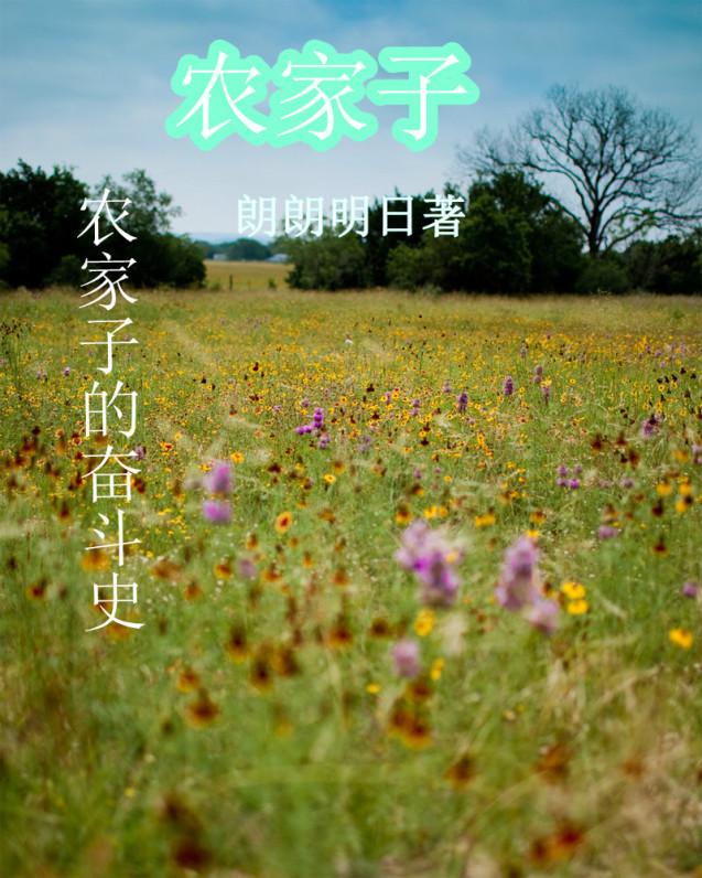 农家子的科举路顾青云