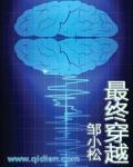 穿越终极系列的完结