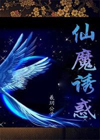 仙魔hh