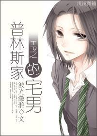 hp 普林斯