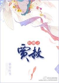 红楼之贾赦之妻不好欺