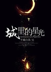 城里的月光星星