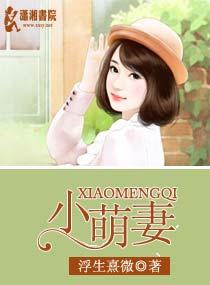 冰山总裁小萌妻