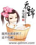 乔锦斯特丹羽毛球拍
