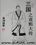 袁熙的三国
